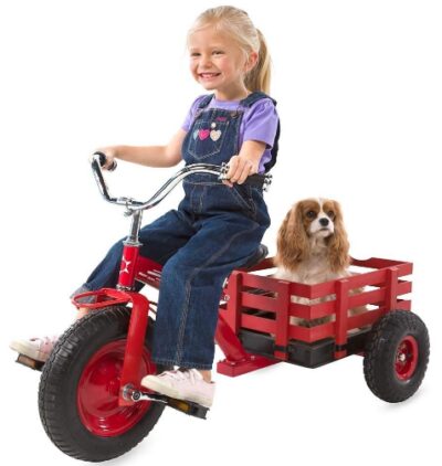 This is an image of girl riding a Red Tricycle Wagon