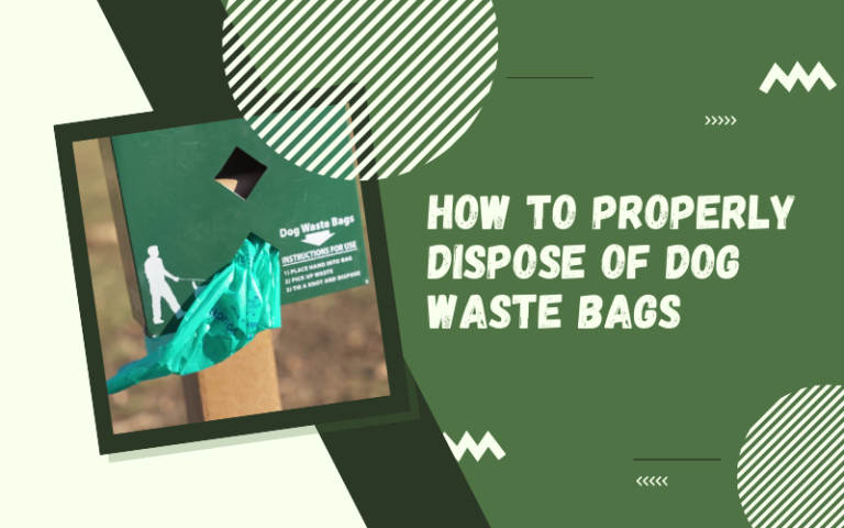 What to Do with Dog Poop Bag