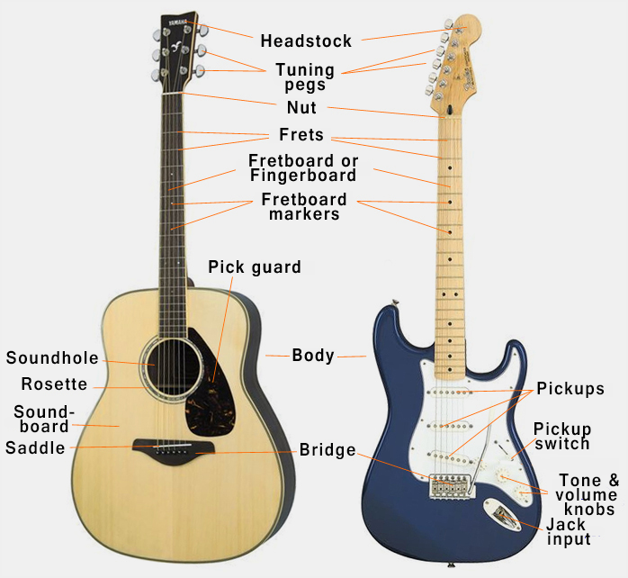 Image result for guitar anatomy