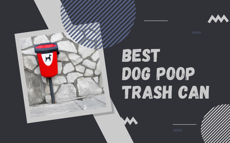 10 Best Dog Poop Trash Can 2024 Complete Buying Guide & Reviews