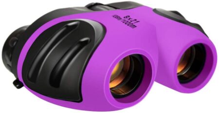 This is an image of kid's binoculars in black and purple colors