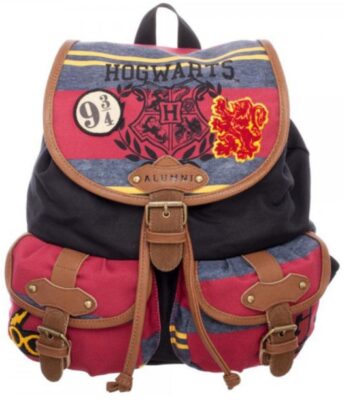this is an image of kid's harry potter hogwarts backpack in multi-colored colors