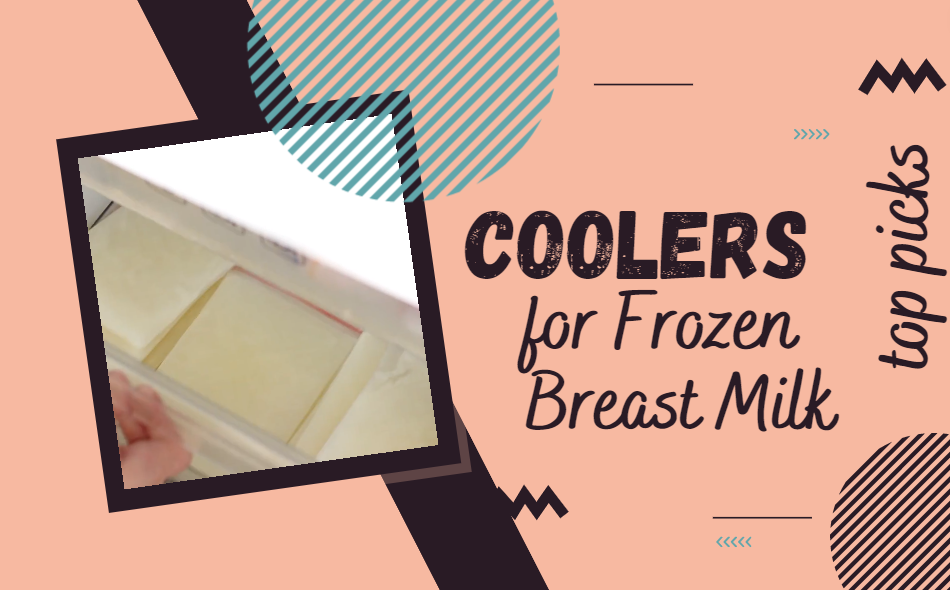 Best Cooler for Frozen Breast Milk in 2024 Reviews & Ratings