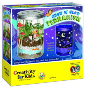 glow in the dark terrarium 