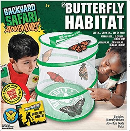 Backyard Safari Butterfly Habitat