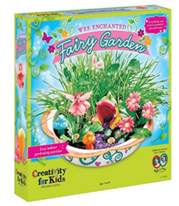 Enchanted Fairy Garden Kit