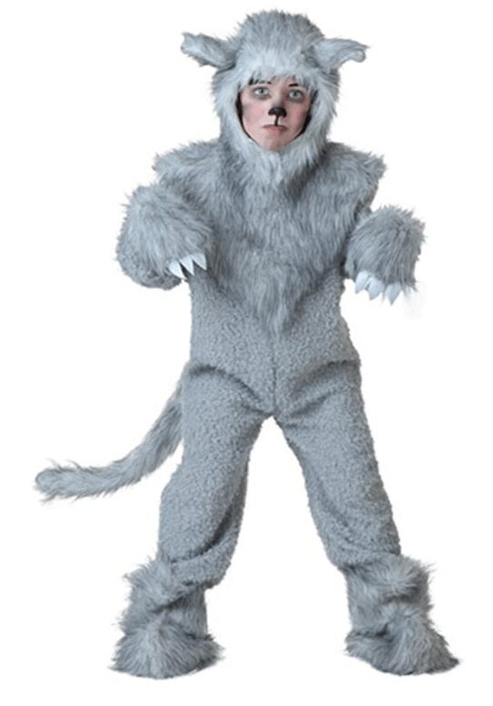 Big Boys' Wolf Costume