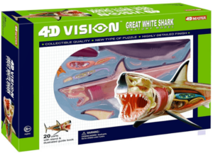This is an image of kids 4D Vision Great White Shark Anatomy Model