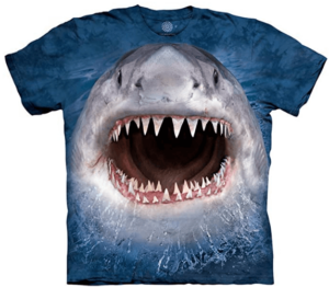 This is an image of kids shark pattern t-shirt