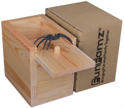 This is an image of borther's funny gift spider prank box