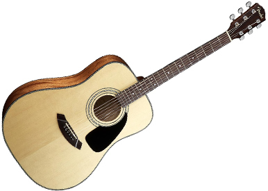 Image result for steel stringed guitar